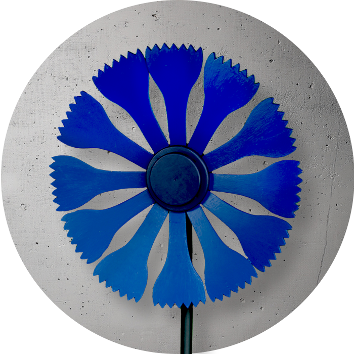 blaue Holzblume