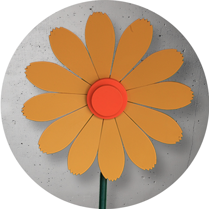 gelbe Holzblume