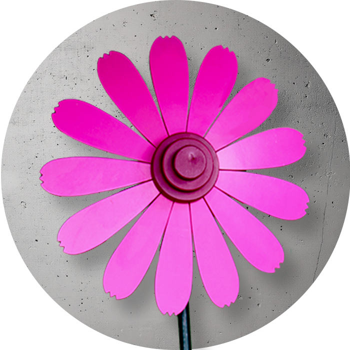 pinke Holzblume